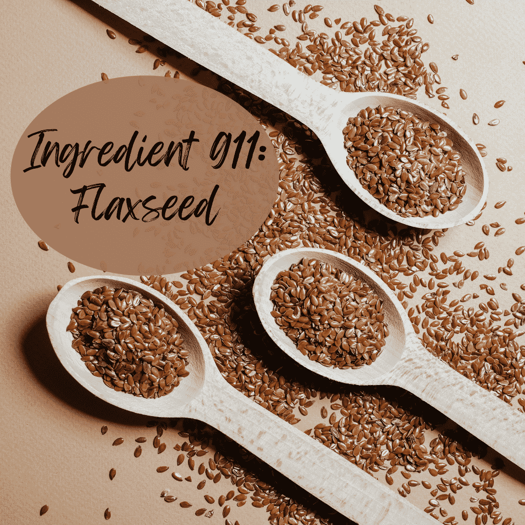 Ingredient 911 Flaxseed The Foodie Physician