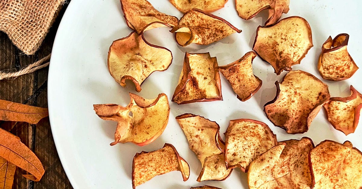Homemade crispy cinnamon apple chips in a bowl